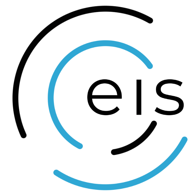 Enable Info Solutions Logo